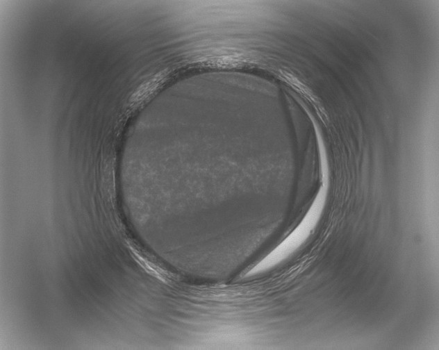 X0000051900493200507222046