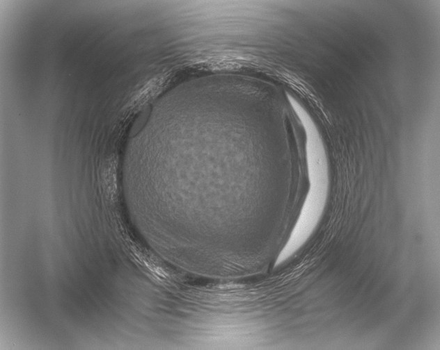 X0000051900501200507222046