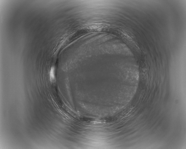X0000051900504200507222045