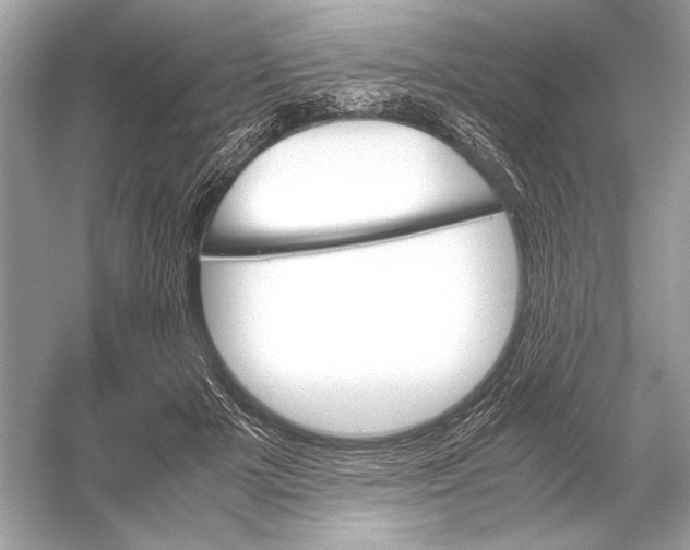 X0000051900505200507222045