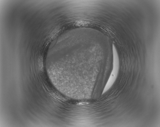X0000051900508200507222045