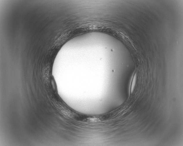 X0000051900509200507222045