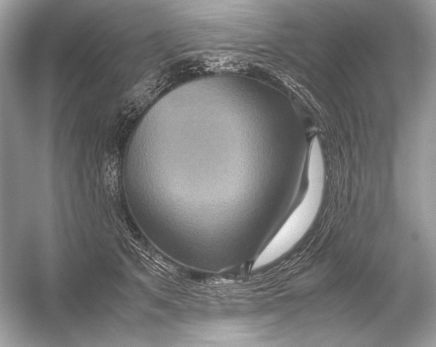 X0000051900513200507222045