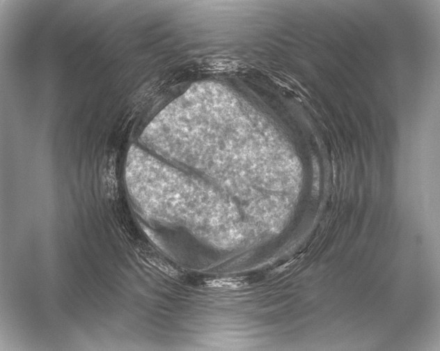 X0000051900516200507222045