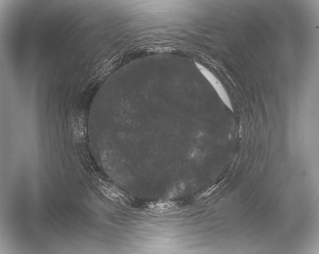 X0000051900517200507222045