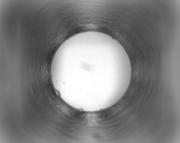 X0000051900518200507222045