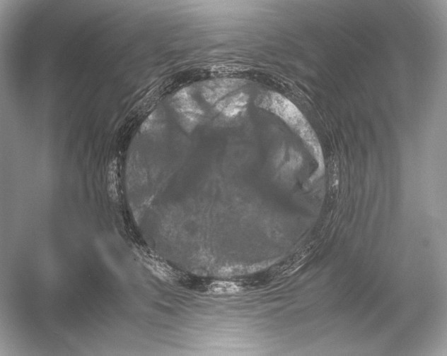 X0000051900519200507222045