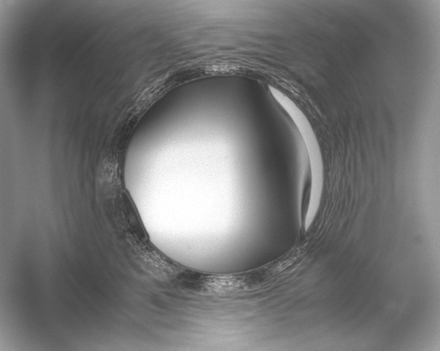 X0000051900521200507222045