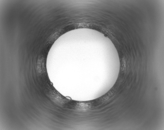 X0000051900522200507222045