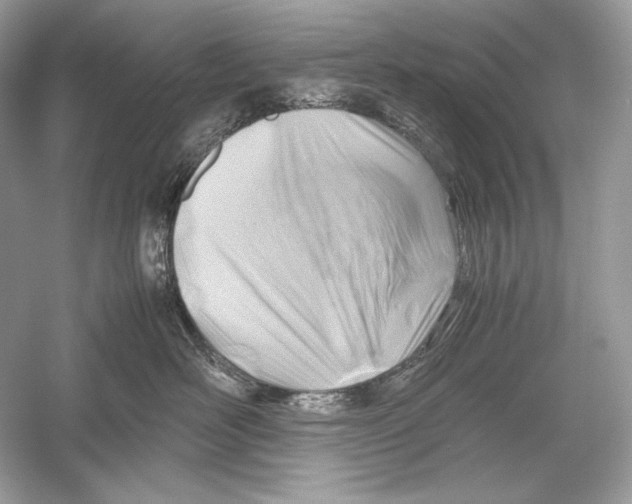 X0000051900526200507222045