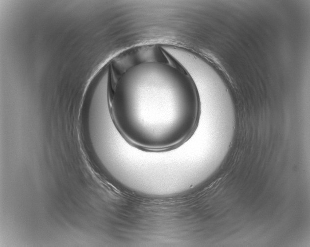 X0000051900532200507222044
