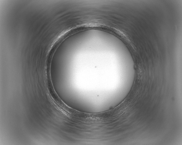 X0000051900535200507222044