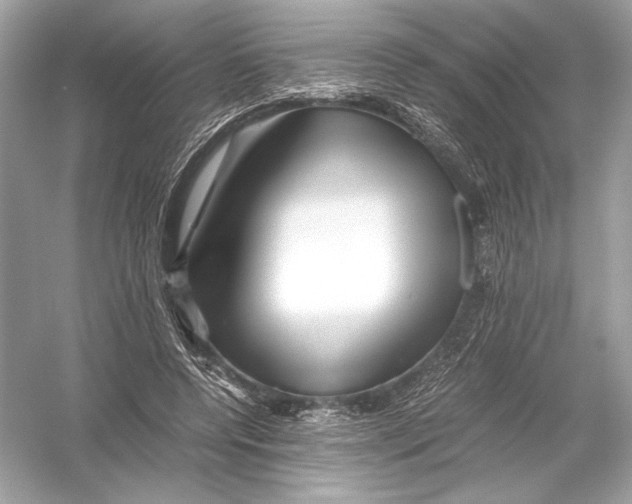 X0000051900544200507222044