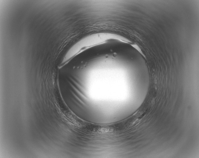 X0000051900546200507222045