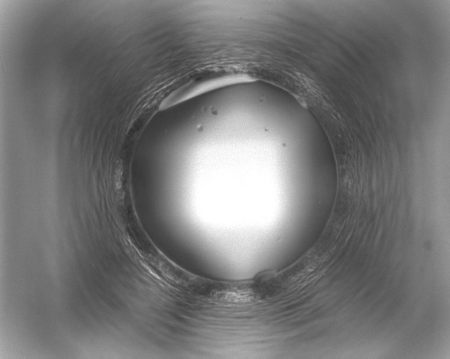 X0000051900548200507222045