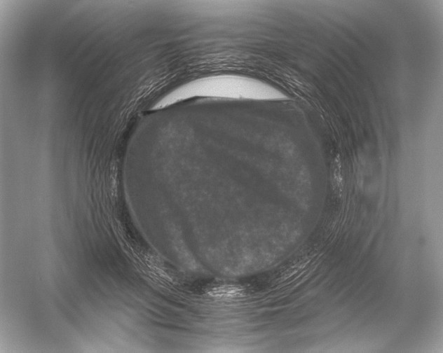 X0000051900551200507222045