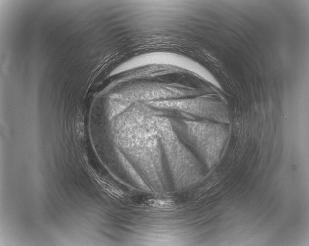 X0000051900552200507222045