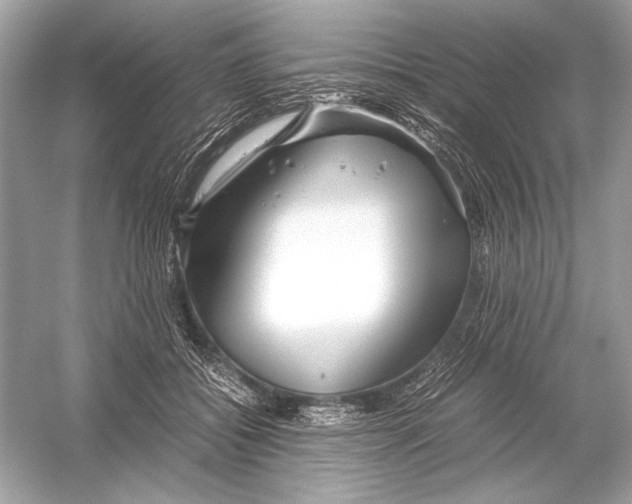 X0000051900556200507222045