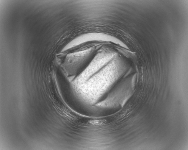 X0000051900558200507222045