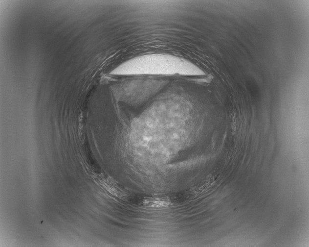 X0000051900559200507222045