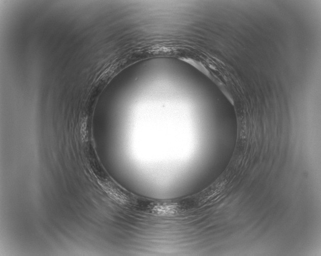 X0000051900560200507222045