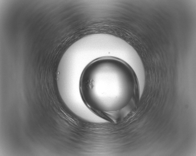X0000051900562200507222045