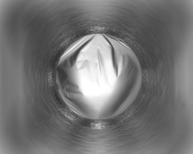X0000051900564200507222045