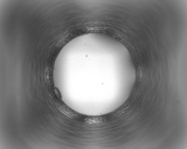 X0000051900567200507222045