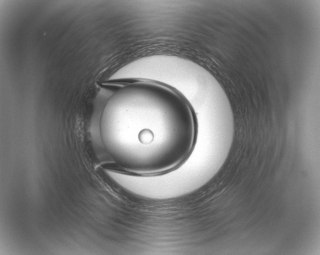 X0000051900568200507222045