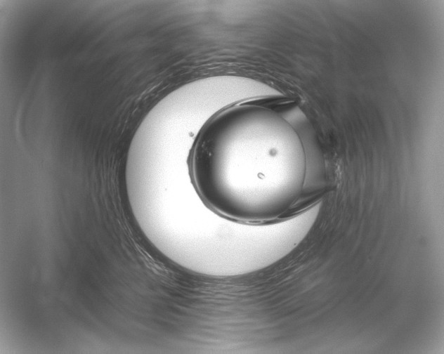 X0000051900570200507222045