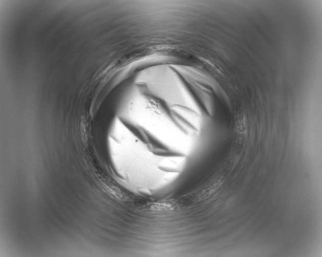 X0000051900572200507222045