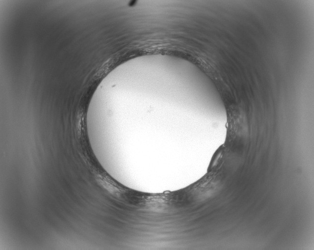 X0000051900574200507222045
