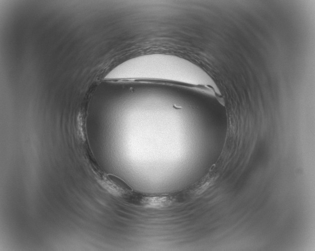 X0000051900575200507222045