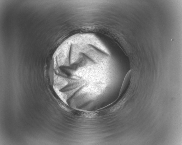 X0000051900576200507222045