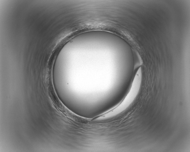 X0000051900583200507222044