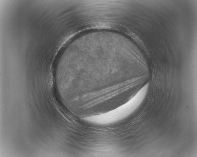 X0000051900584200507222044