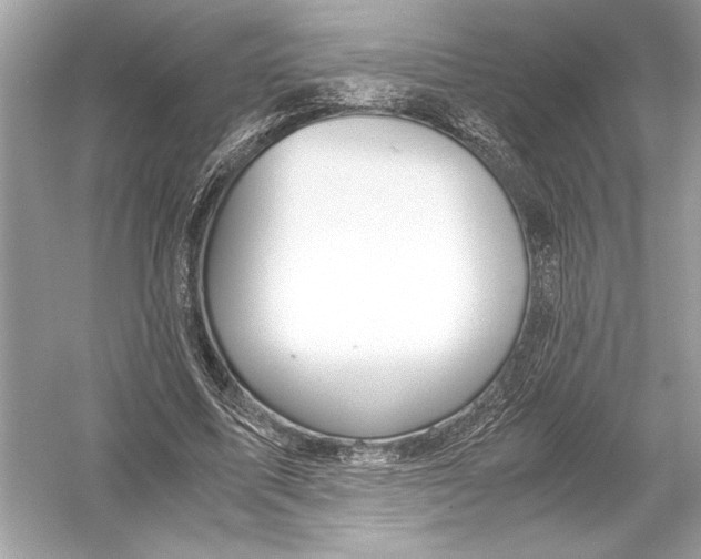 X0000051900587200507222044