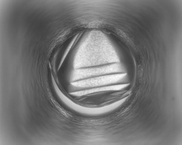 X0000051900589200507222044