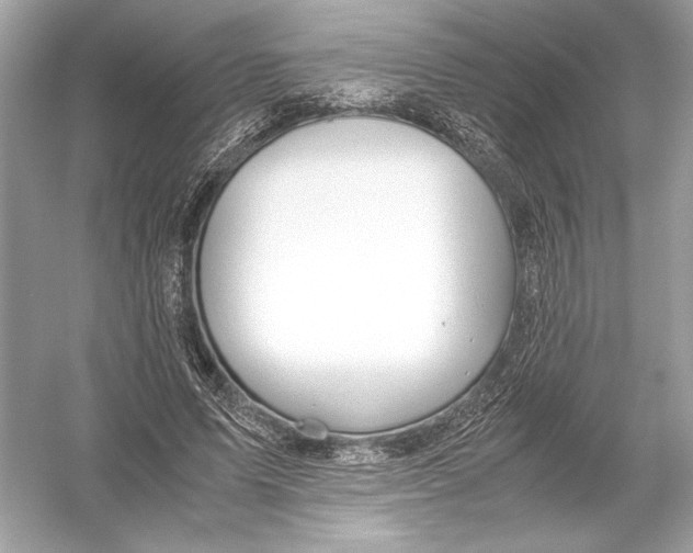X0000051900591200507222044