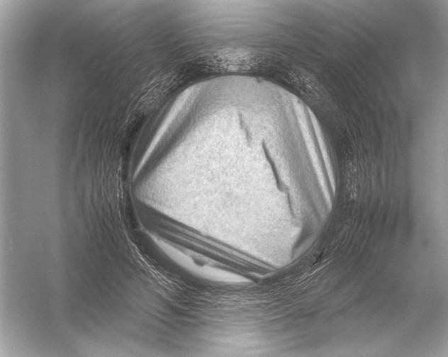 X0000051900594200507222044