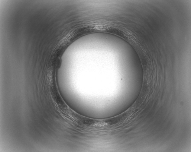 X0000051900595200507222044
