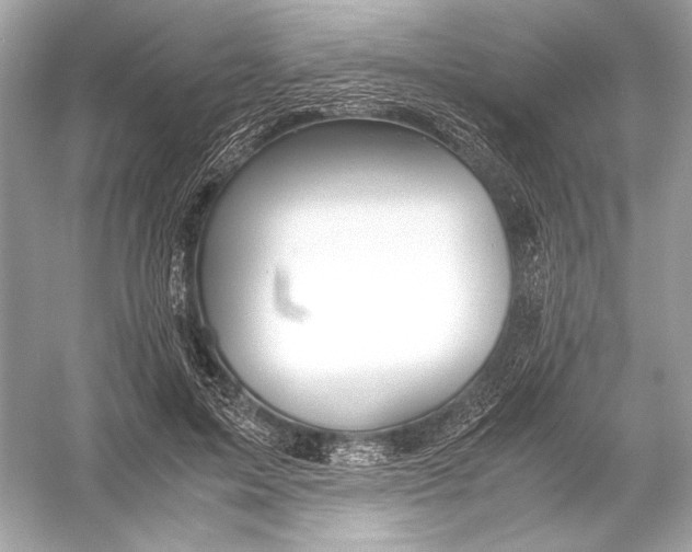 X0000051900599200507222044