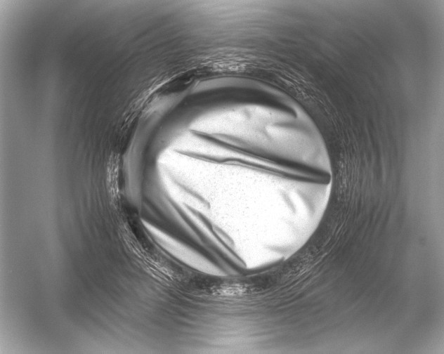 X0000051900600200507222044