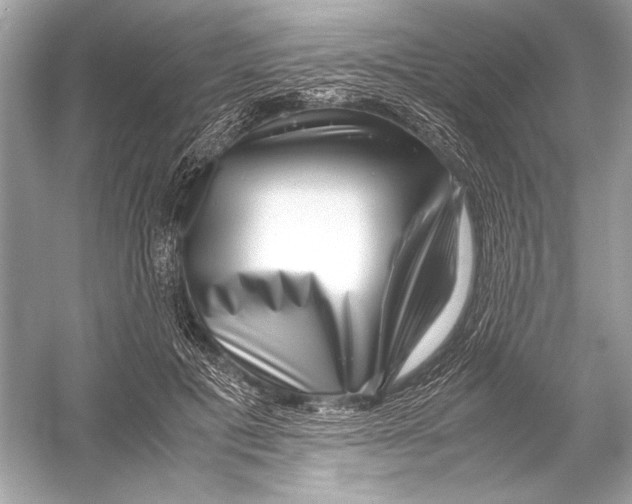 X0000051900601200507222044