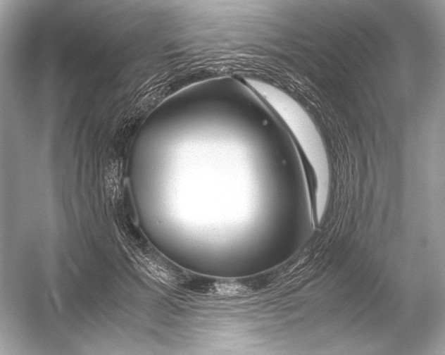 X0000051900605200507222044