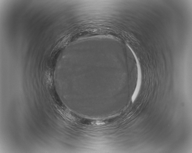 X0000051900607200507222044