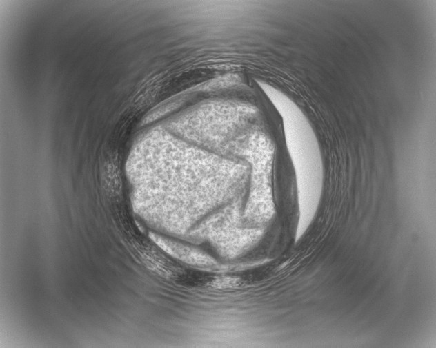 X0000051900609200507222044