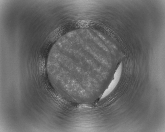 X0000051900610200507222044