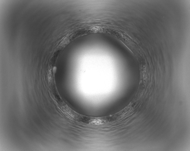 X0000051900611200507222044
