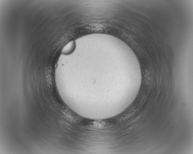 X0000051900612200507222044